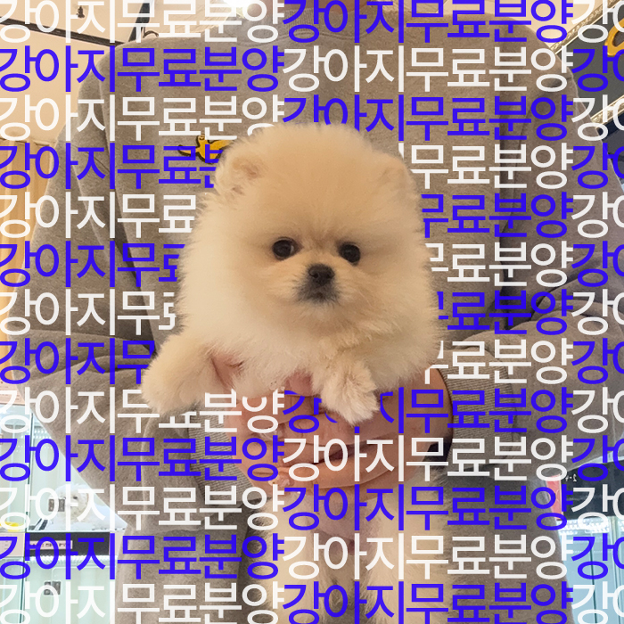 f699bd797ea787cc2b26586237ec55c5_1746249637_2314.jpg