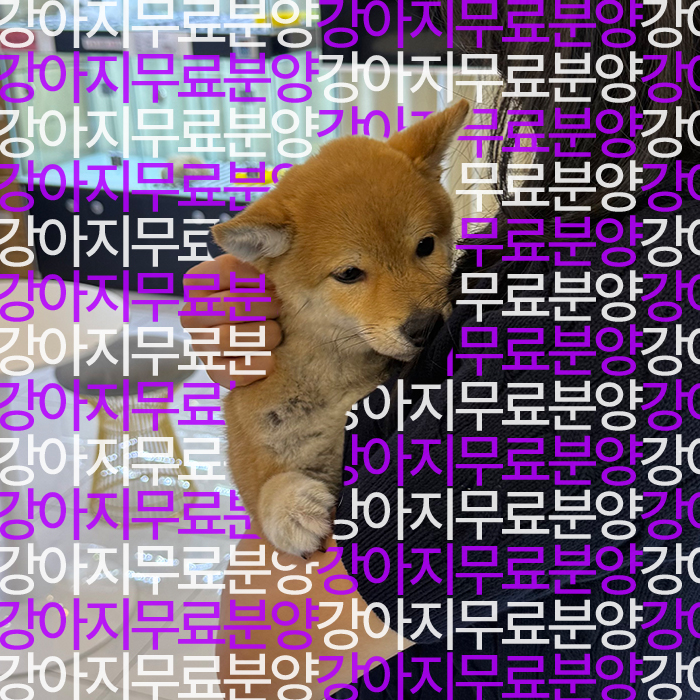 f699bd797ea787cc2b26586237ec55c5_1746249917_5048.jpg