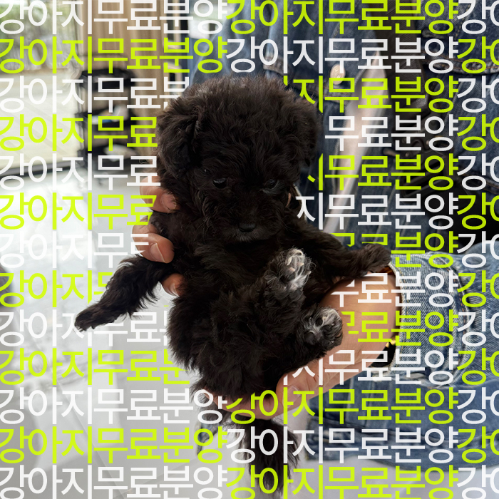 f699bd797ea787cc2b26586237ec55c5_1746249946_0877.jpg