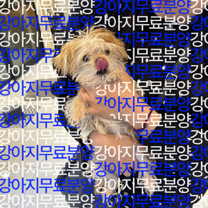 f699bd797ea787cc2b26586237ec55c5_1746249979_453.jpg