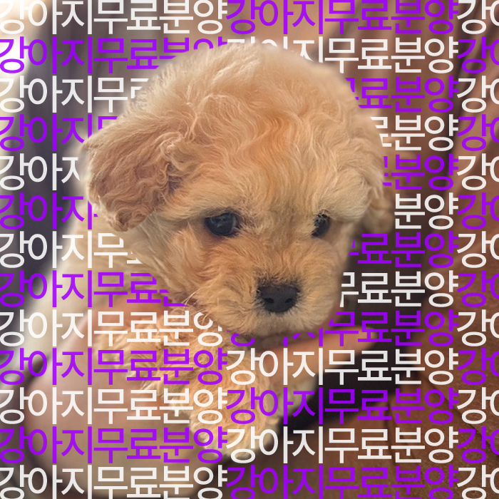 f699bd797ea787cc2b26586237ec55c5_1746250083_1558.jpg
