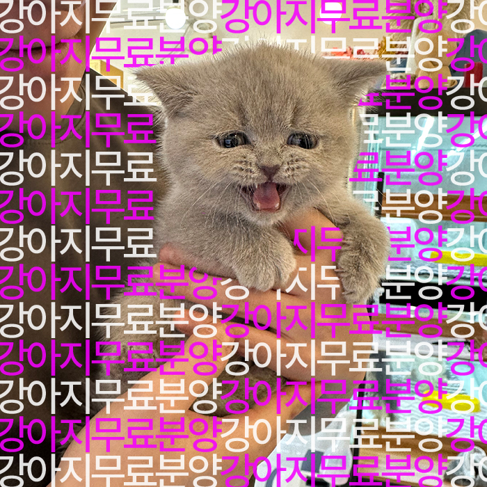 f699bd797ea787cc2b26586237ec55c5_1746250538_6927.jpg