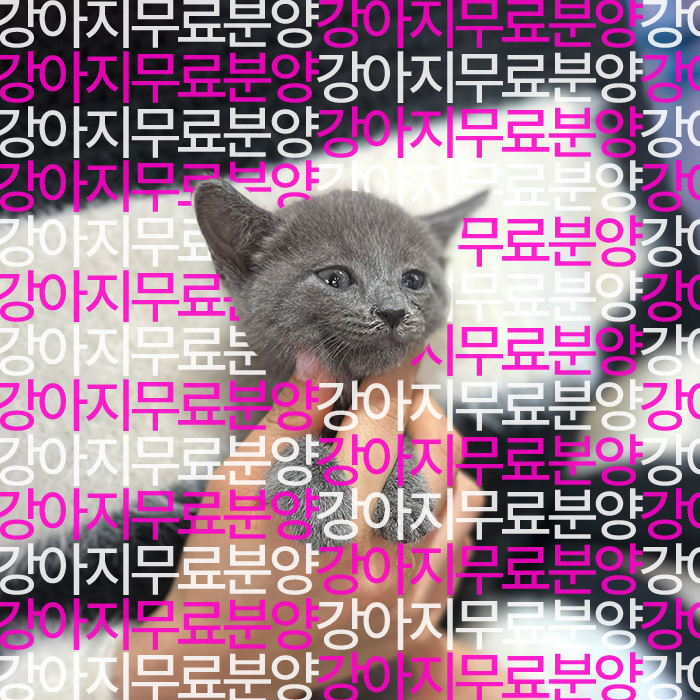 f699bd797ea787cc2b26586237ec55c5_1746250566_2197.jpg