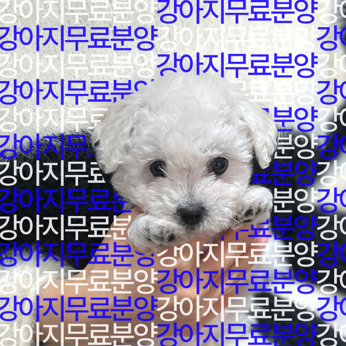 f699bd797ea787cc2b26586237ec55c5_1746250946_4945.jpg