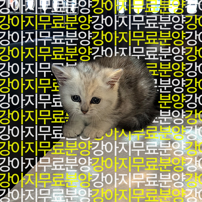 f699bd797ea787cc2b26586237ec55c5_1746251099_5367.jpg