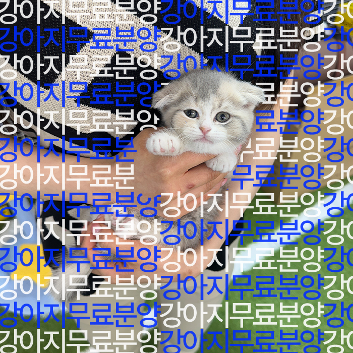 db8be53af8a408a07c18e86b938076a6_1749804800_8156.jpg