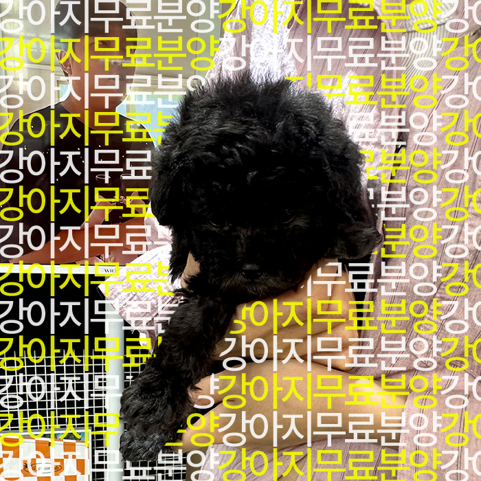 e08eb6d6d641eaa574b675012c59b0e1_1750504080_0805.jpg