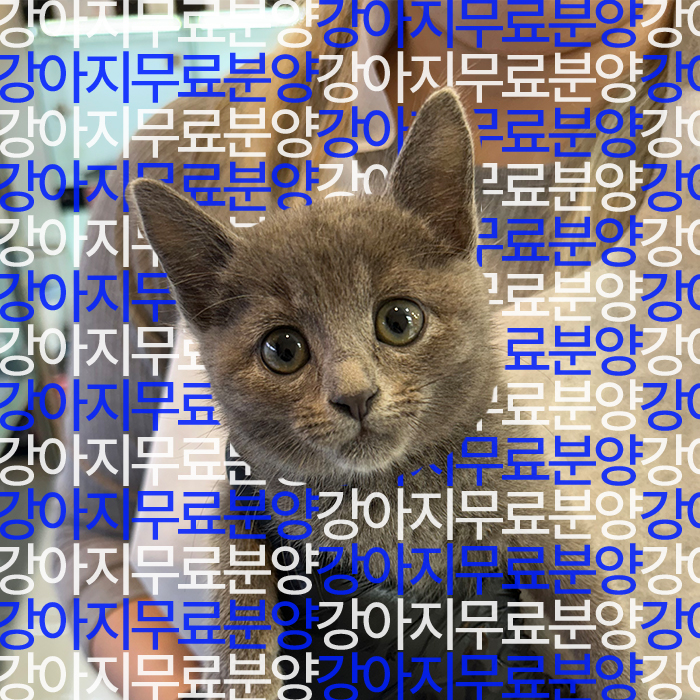 e08eb6d6d641eaa574b675012c59b0e1_1750504319_3187.jpg