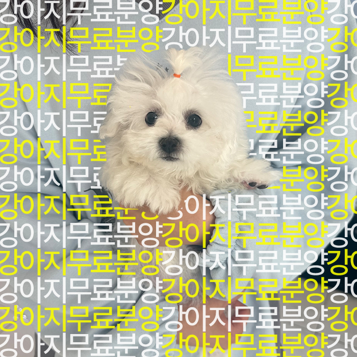e08eb6d6d641eaa574b675012c59b0e1_1750504418_0911.jpg
