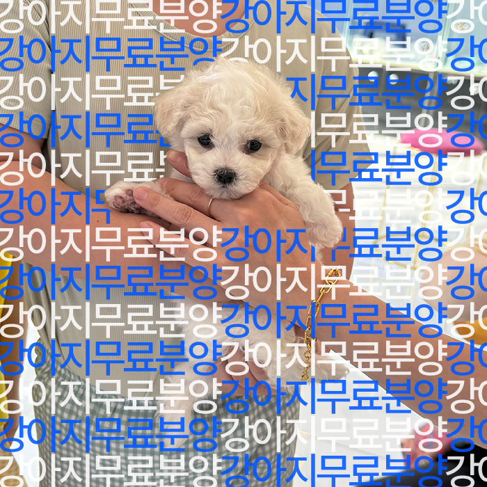 e08eb6d6d641eaa574b675012c59b0e1_1750504439_6329.jpg