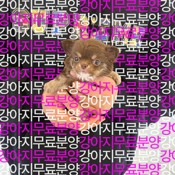 e08eb6d6d641eaa574b675012c59b0e1_1750504492_6145.jpg