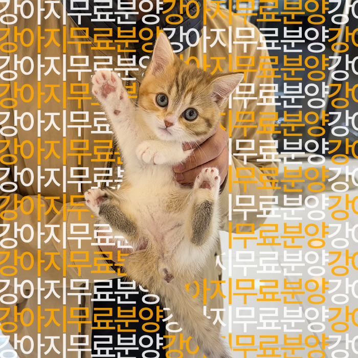 948ad0dff07ab989a45158d62c046fd6_1752745525_3631.jpg