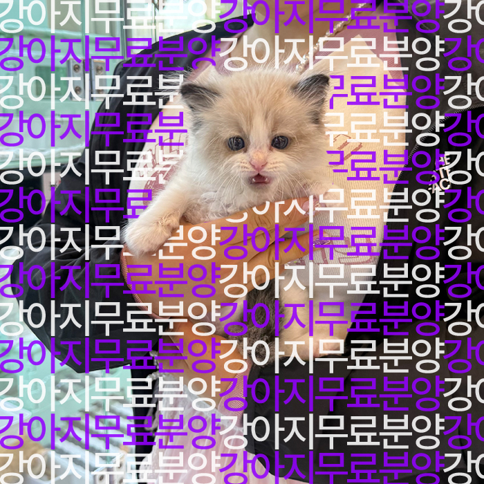 948ad0dff07ab989a45158d62c046fd6_1752745572_6218.jpg