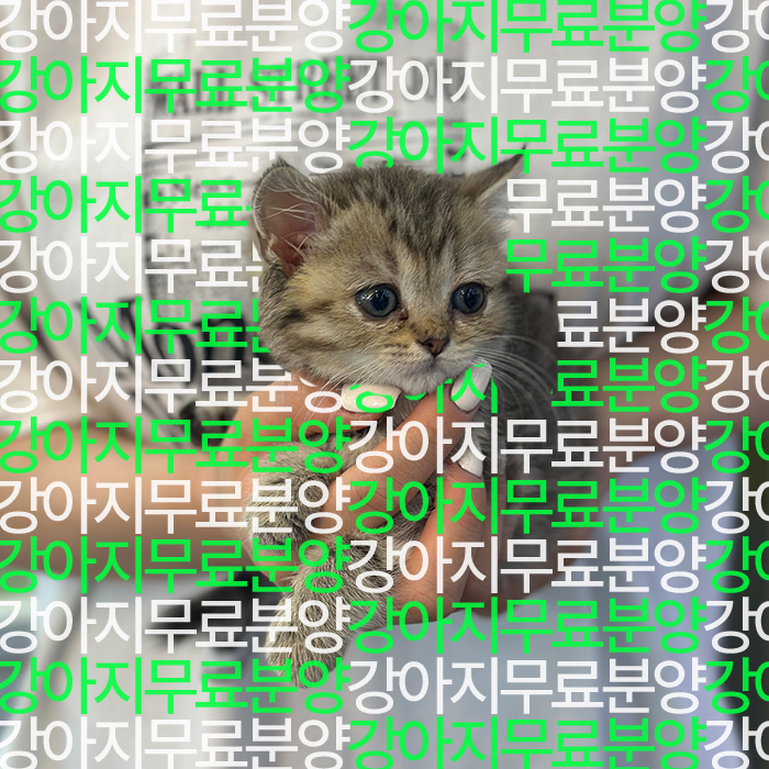 948ad0dff07ab989a45158d62c046fd6_1752745851_2676.jpg