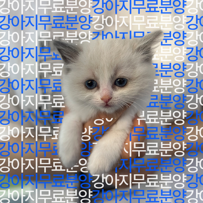 948ad0dff07ab989a45158d62c046fd6_1752745872_4284.jpg