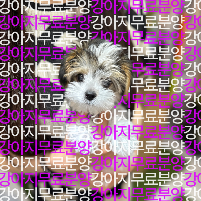 948ad0dff07ab989a45158d62c046fd6_1752746187_5919.jpg
