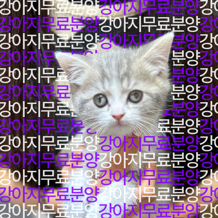 948ad0dff07ab989a45158d62c046fd6_1752746218_5407.jpg