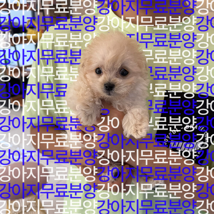 948ad0dff07ab989a45158d62c046fd6_1752747579_9888.jpg