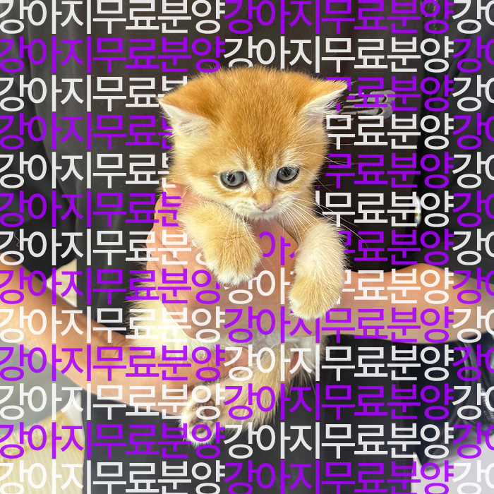 948ad0dff07ab989a45158d62c046fd6_1752747600_3186.jpg